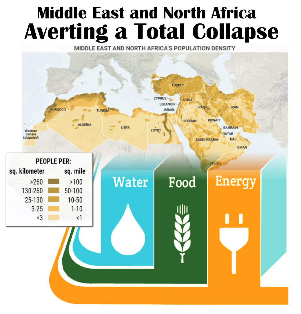 Read more about the article Averting a Total Collapse  Middle East and North Africa