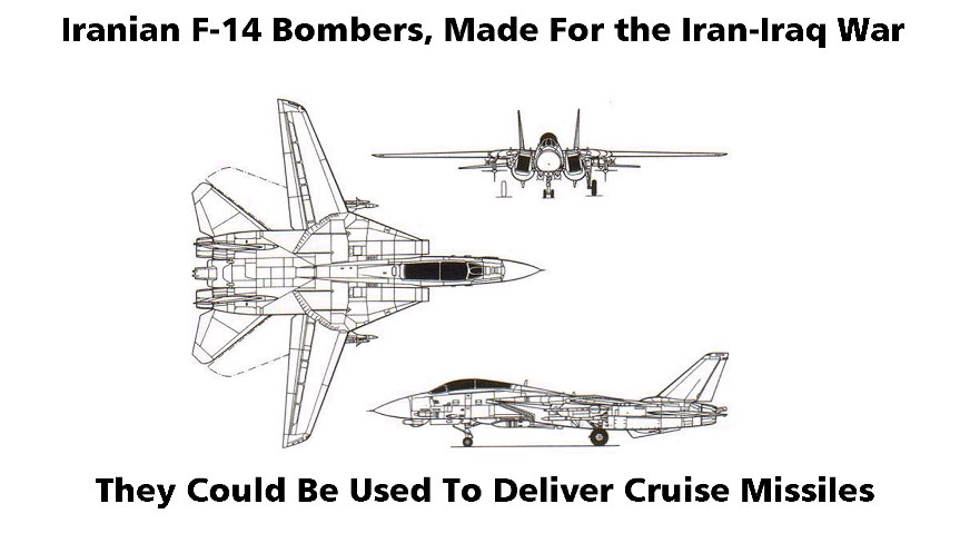 You are currently viewing Iranian F-14 Bombers, Made For the Iran-Iraq War