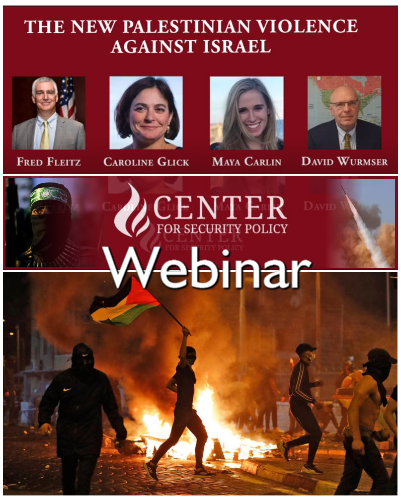 You are currently viewing Webinar: The New Palestinian Violence Against Israel