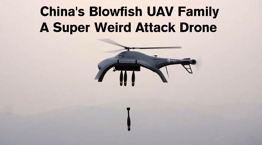 You are currently viewing China’s Blowfish UAV Family
