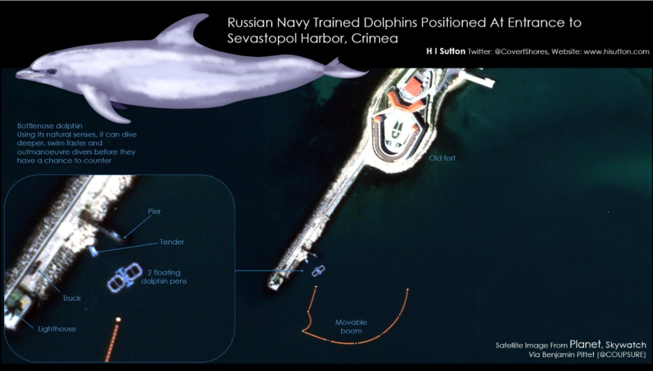 You are currently viewing Russian Trained Dolphins Deployed To Ukraine War ￼