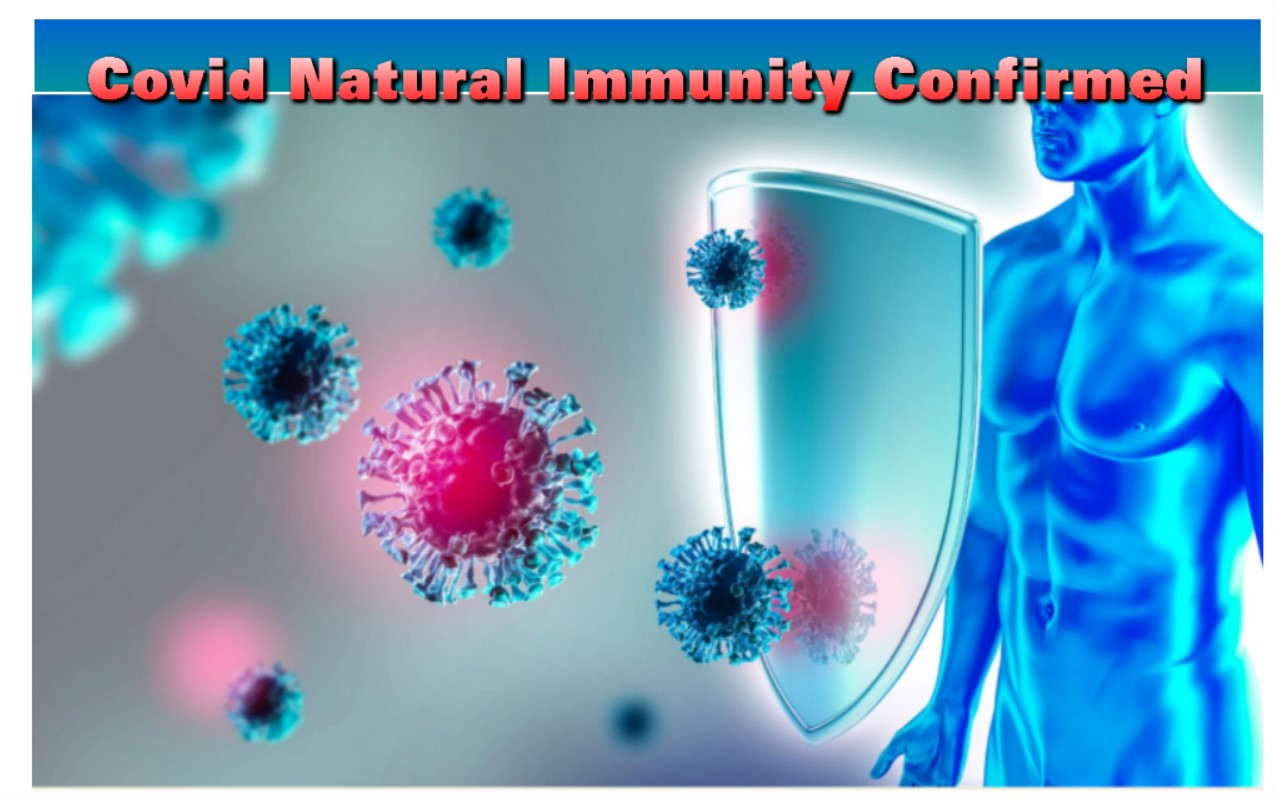 Read more about the article <strong>Covid Natural Immunity Confirmed</strong>