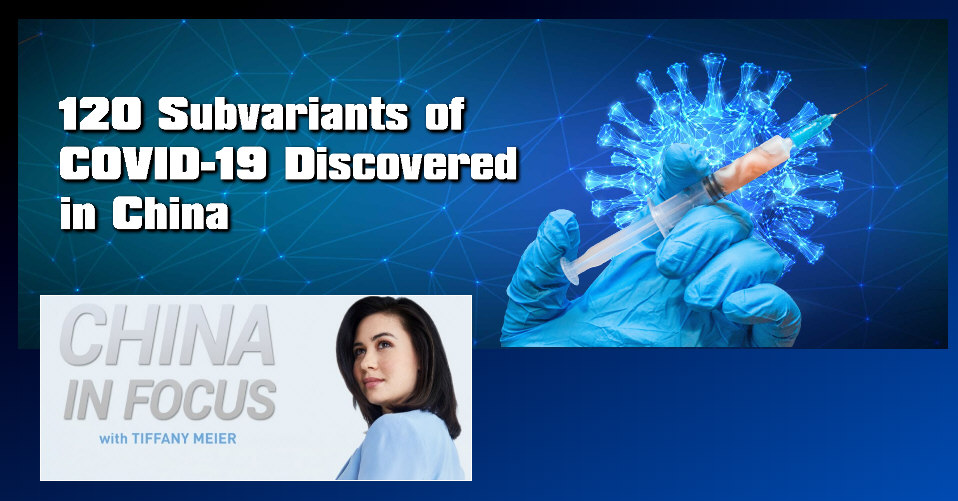 You are currently viewing 120 Subvariants of COVID-19 Discovered in China